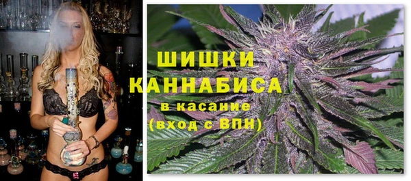 PSILOCYBIN Инта