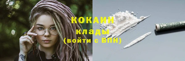 PSILOCYBIN Инта