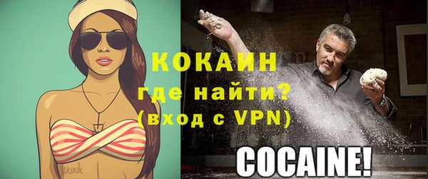 PSILOCYBIN Инта