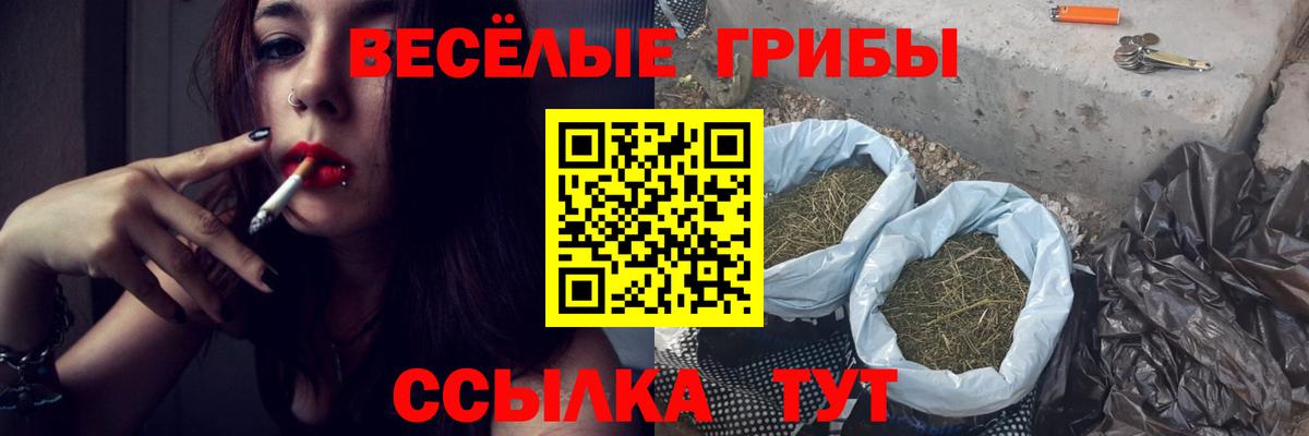 Псилоцибиновые грибы GOLDEN TEACHER  Вход с VPN  Шали 